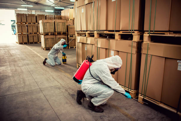 Best Pest Control Treatment  in Odenville, AL