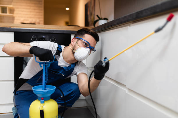 Best Wildlife Control Services  in Odenville, AL