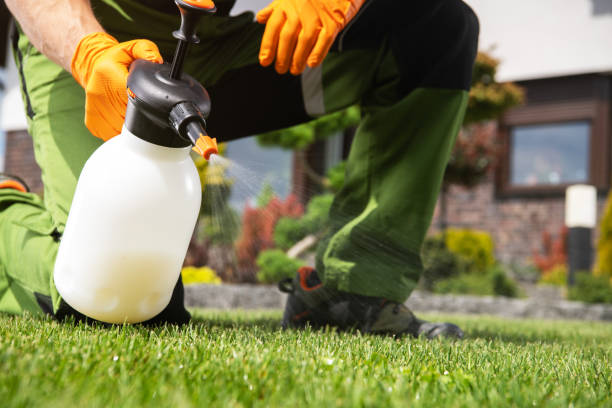 Professional Pest Control in Odenville, AL
