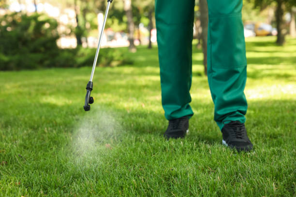 Best Cockroach Control Services  in Odenville, AL