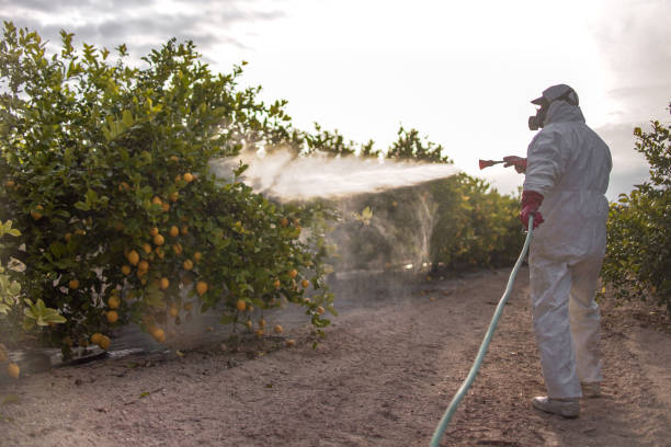 Best Pest Control Near Me  in Odenville, AL