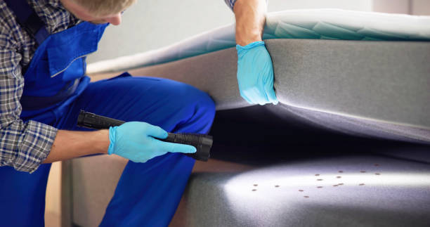 Pest Prevention Services in Odenville, AL